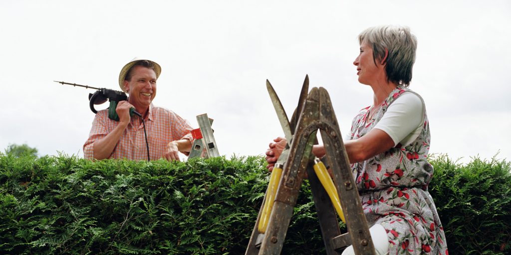 Woman on ladder talking to man behind hedge holding drill